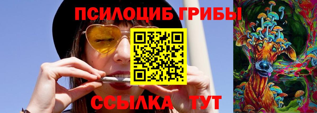Псилоцибиновые грибы мухоморы  Вход с VPN  закладки  Сухой Лог 